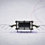 Georgia State researchers design artificial vision device for microrobots