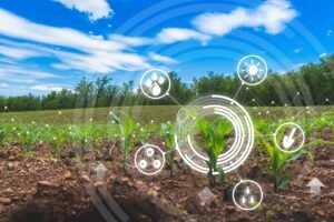 AI and Food Sustainability: AI applications for optimizing food production and reducing waste.