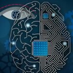 Ecology and artificial intelligence: Stronger together